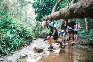 BIB: 
                            <button type="button" onclick="openModal(25374250)" class="btn btn-primary btn-sm float-right btn-popup" data-toggle="modal" data-target=".modal-high-quality">
                        <i class="fas fa-shopping-cart"></i> Add to Cart
                    </button>
                                            <button type="button" onclick="isThisMe(25374250, true)" class="btn btn-success btn-sm float-right btn-popup btn-isme hidden" data-toggle="tooltip" data-placement="bottom" title="นี่คือรูปของคุณใช่ไหม คลิกที่นี่เพื่อเอาเข้าอัลบั้ม">
                        <i class="fas fa-plus"></i> Add to album
                    </button>
                    <button type="button" onclick="isThisMe(25374250, false)" class="btn btn-warning btn-sm float-right btn-popup btn-isnotme hidden">
                        <i class="fas fa-ban"></i> Remove from album
                    </button>